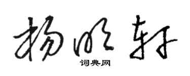 駱恆光楊明軒草書個性簽名怎么寫