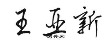 駱恆光王亞新行書個性簽名怎么寫