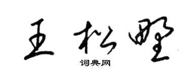 梁錦英王松野草書個性簽名怎么寫