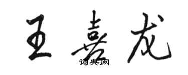 駱恆光王喜龍行書個性簽名怎么寫