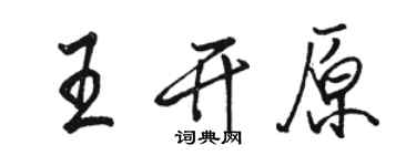 駱恆光王開原行書個性簽名怎么寫