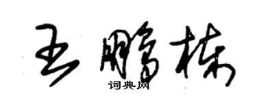 朱錫榮王鵬棟草書個性簽名怎么寫