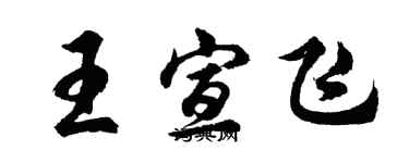 胡問遂王宣飛行書個性簽名怎么寫