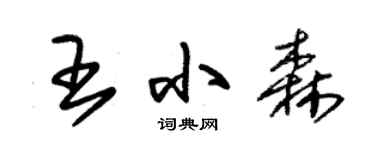 朱錫榮王小森草書個性簽名怎么寫