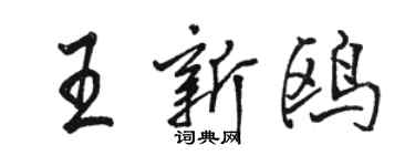 駱恆光王新鷗行書個性簽名怎么寫