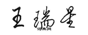 駱恆光王瑞星行書個性簽名怎么寫