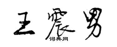 曾慶福王震男行書個性簽名怎么寫