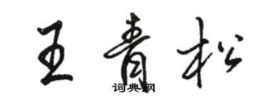 駱恆光王青松行書個性簽名怎么寫