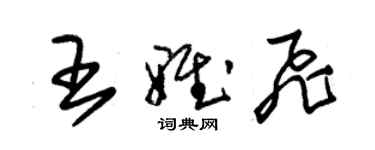 朱錫榮王雅飛草書個性簽名怎么寫