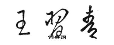 駱恆光王習青草書個性簽名怎么寫