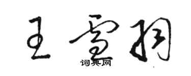 駱恆光王雪羽草書個性簽名怎么寫