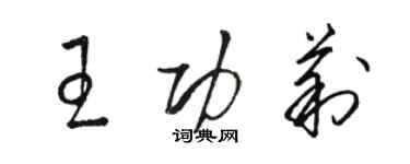 駱恆光王功莉草書個性簽名怎么寫