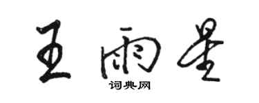 駱恆光王雨星行書個性簽名怎么寫