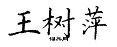 丁謙王樹萍楷書個性簽名怎么寫