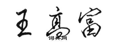 駱恆光王高富行書個性簽名怎么寫