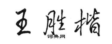 駱恆光王勝楷行書個性簽名怎么寫