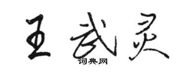 駱恆光王武靈行書個性簽名怎么寫