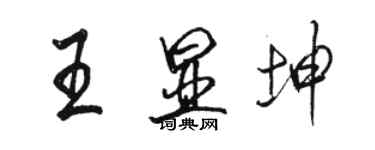 駱恆光王顯坤行書個性簽名怎么寫