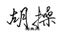 駱恆光胡操行書個性簽名怎么寫