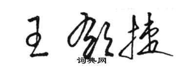 駱恆光王郁捷草書個性簽名怎么寫