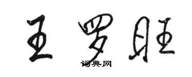 駱恆光王羅旺行書個性簽名怎么寫