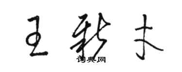 駱恆光王新才草書個性簽名怎么寫