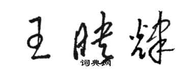 駱恆光王映輝草書個性簽名怎么寫