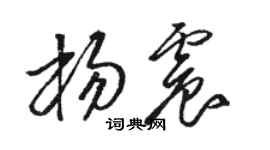 駱恆光楊震草書個性簽名怎么寫