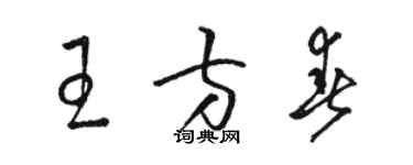 駱恆光王方春草書個性簽名怎么寫