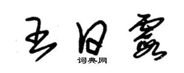 朱錫榮王日霞草書個性簽名怎么寫