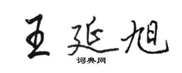 駱恆光王延旭行書個性簽名怎么寫