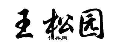 胡問遂王松園行書個性簽名怎么寫