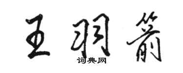駱恆光王羽箭行書個性簽名怎么寫