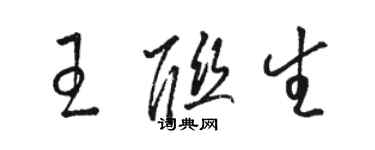 駱恆光王聯生草書個性簽名怎么寫