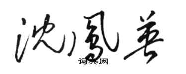 駱恆光沈鳳英草書個性簽名怎么寫