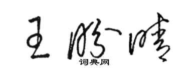 駱恆光王盼晴草書個性簽名怎么寫