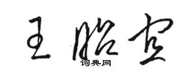 駱恆光王昭宜草書個性簽名怎么寫