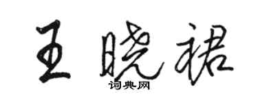 駱恆光王曉裙行書個性簽名怎么寫