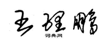 朱錫榮王理鵬草書個性簽名怎么寫