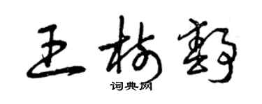 曾慶福王樹靜草書個性簽名怎么寫