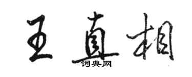 駱恆光王直相行書個性簽名怎么寫