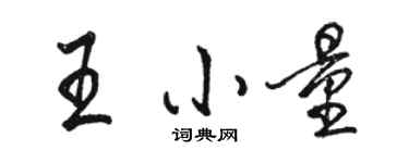 駱恆光王小量行書個性簽名怎么寫