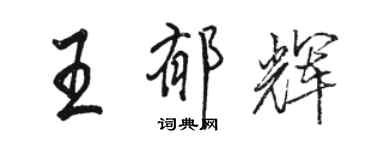 駱恆光王郁輝行書個性簽名怎么寫