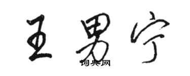 駱恆光王男寧行書個性簽名怎么寫