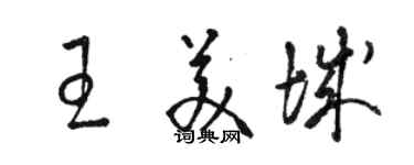 駱恆光王美城草書個性簽名怎么寫