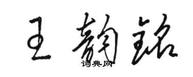 駱恆光王韻銘草書個性簽名怎么寫