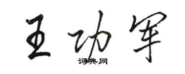 駱恆光王功軍行書個性簽名怎么寫