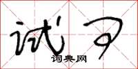 王冬齡試問草書怎么寫