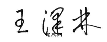 駱恆光王澤林草書個性簽名怎么寫