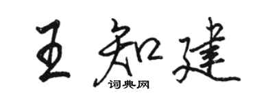 駱恆光王知建行書個性簽名怎么寫